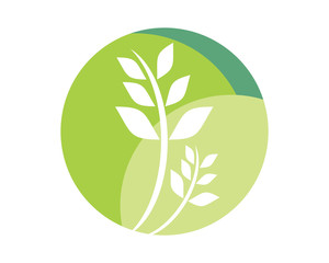 green leaves plant icon