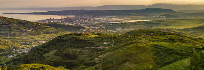 panorama of the surrounding area of Koper, Slovenia, vineyards a