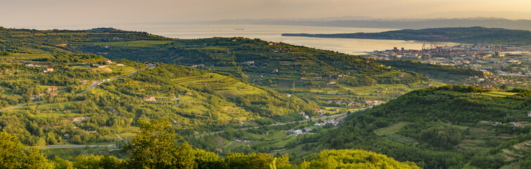 panorama of the surrounding area of Koper, Slovenia, vineyards a - obrazy, fototapety, plakaty