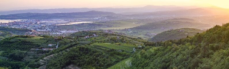 Fototapeta na wymiar panorama of the surrounding area of Koper, Slovenia, vineyards