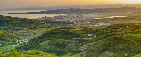 panorama of the surrounding area of Koper, Slovenia, vineyards - obrazy, fototapety, plakaty