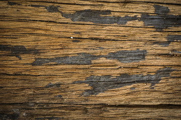 Naklejka premium Old Woody texture for background photo taken in Semarang Indonesia