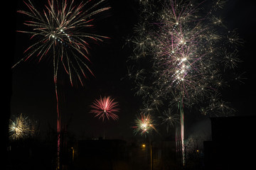 Naklejka premium Fireworks over family houses.