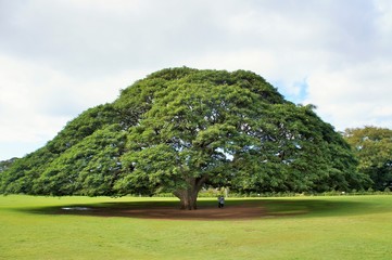 Moanalua Gardens Park