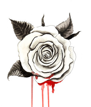 Bleeding Rose