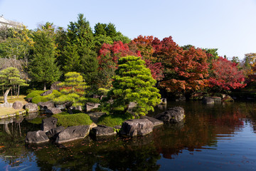 Obraz premium Japanese garden