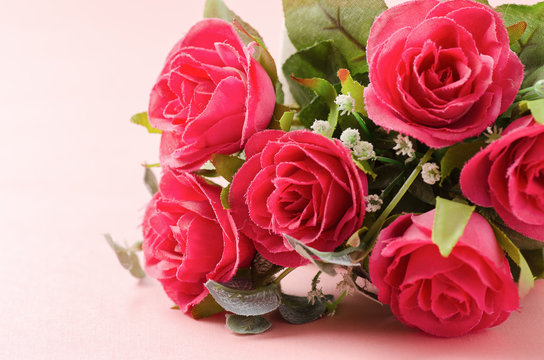 Beautiful red roses on pink background,Valentine day concept