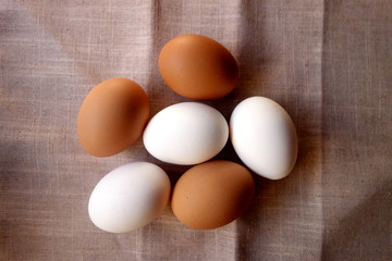 eggs