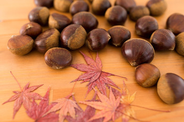 Dried maple leaves and chestnut