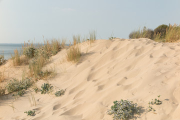 Sand dune by the sea or ocean