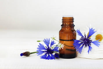 Cornflower botanical extract cosmetic benefits. Bottle of essence, fresh blue flowers, light copy space.
