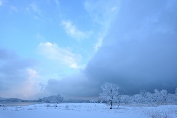 雪国・樹氷と雪原の風景