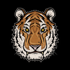 The head of the Tiger. Vector illustration