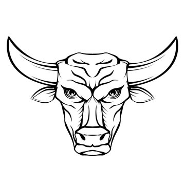 illustration vector outline of a bull head.