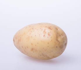 potato or organic potato on a background.