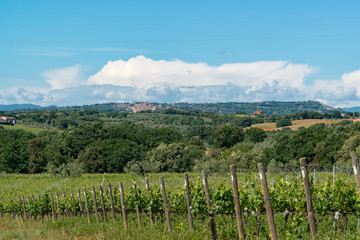 Fototapeta na wymiar Landschaft mit unendlicher Weite in der Toskana