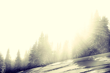 Cold Snowy Mountains, European Background Snowy Forest, Winter Mountain Slope, Beautiful Cold Winter Landscape, Concept Winter Landscape, Snowy Forest, Symbol Winter Landscape, Lomo Cold Landscape