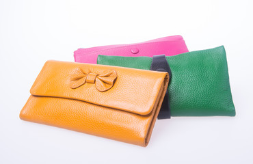 wallet or purse woman on a background.