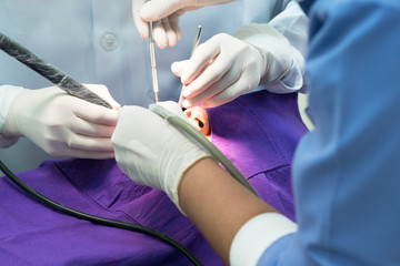 dentist and assistant wearing glove working with patient mouth