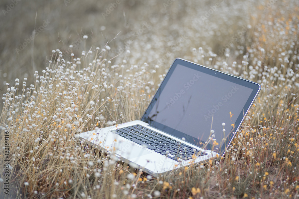 Aufkleber laptop with empty screen on green grass. office and work space o