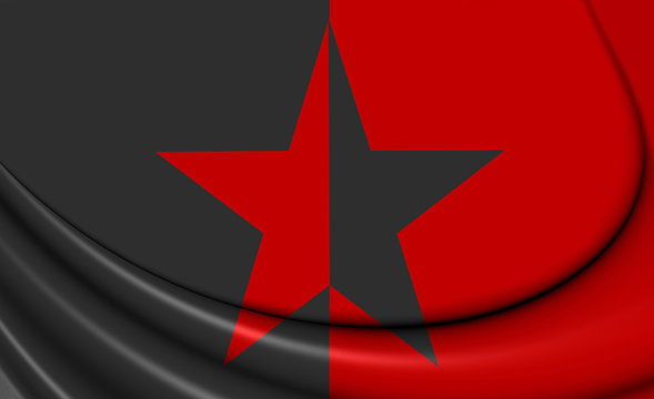 3D Flag of EZLN. 3D Illustration.