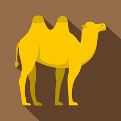 Yellow camel icon. Flat illustration of yellow camel vector icon for web isolated on coffee background