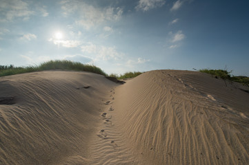 Fototapeta na wymiar Sand desert surface dunes