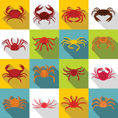 Fototapeta na wymiar Various crab icons set. Flat illustration of 16 various crab vector icons for web