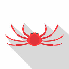 Japanese spider crab icon. Flat illustration of japanese spider crab vector icon for web isolated on white background