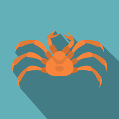 Raw crab icon. Flat illustration of raw crab vector icon for web isolated on baby blue background