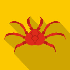 Red king crab icon. Flat illustration of red king crab vector icon for web isolated on yellow background