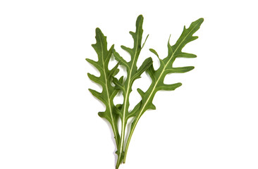 fresh rucola leaves isolated