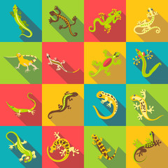 Different lizard icons set. Flat illustration of 16 different lizard vector icons for web