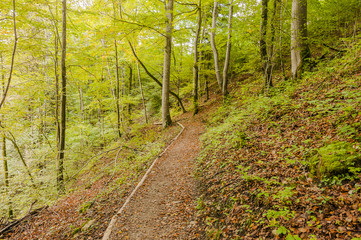 Noiraigue, Areuseschlucht, Schlucht, Areuse, Fluss, Val de Travers, Jura, Wald, Waldweg, Wanderweg, Laubwald, Herbst, Herbstwanderung, Schweiz