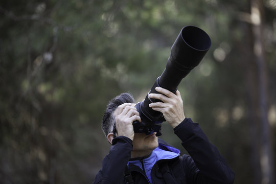 Fototapeta GalloForcello o fagiano di monte maschio 