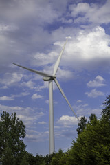 Fototapeta na wymiar Technology and Nature. Wind turbine above a forest canopy