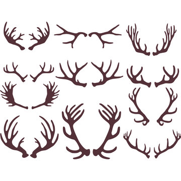 Silhouettes of deer antlers