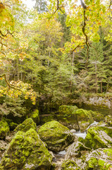 Noiraigue, Areuse, Areuseschlucht, Schlucht, Fluss, Val de Travers, Jura, Wald, Waldweg, Wanderweg, Herbst, Herbstlaub, Herbstfarben, Schweiz