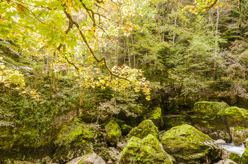 Noiraigue, Val de Travers, Jura, Areuseschlucht,  Schlucht, Areuse, Fluss, Wald, Wanderweg, Herbstspaziergang, Herbstfarben, Herbst, Schweiz