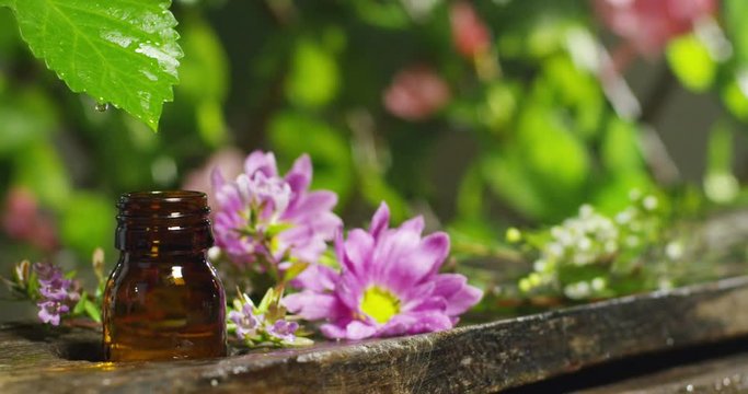 blend of essential oils with water drops, scents and aromas in aromatherapy for wellness and spa. concept of beauty. fragrant essential oil. essence drops fall from a leaf into pool in wellness center