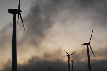 Molinos de viento