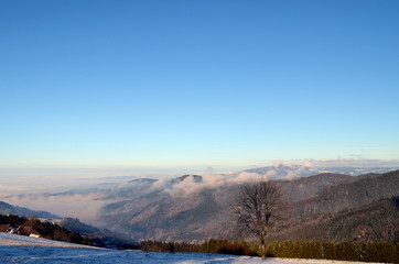 Fototapeta premium Blick vom Geiersnest im Winter