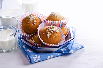 Homemade muffins oat flour