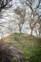 Obraz premium Hügelgrab