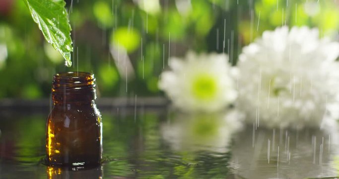 blend of essential oils with water drops, scents and aromas in aromatherapy for wellness and spa. concept of beauty. fragrant essential oil. essence drops fall from a leaf into pool in wellness center