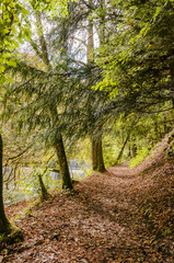 Fototapeta premium Noiraigue, Dorf, Areuse, Fluss, Areuseschlucht, Schlucht, Val de Travers, Jura, Wanderweg, Waldweg, Wald, Herbst, Schweiz
