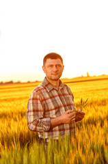 Naklejka na ściany i meble Young farmer in a field examining wheat crop at sunset. He is looking at camera.
