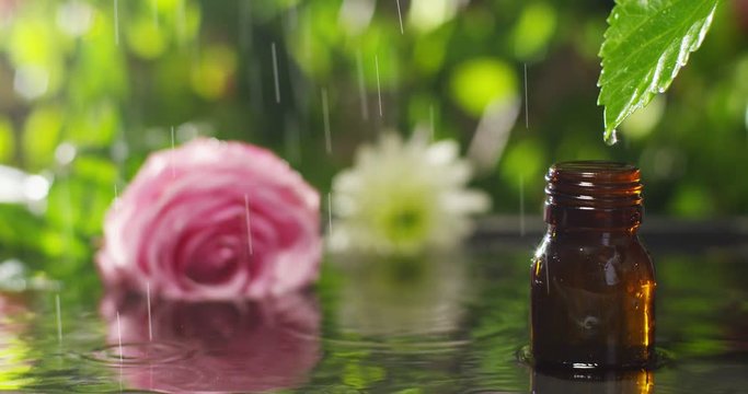 blend of essential oils with water drops, scents and aromas in aromatherapy for wellness and spa. concept of beauty. fragrant essential oil. essence drops fall from a leaf into pool in wellness center