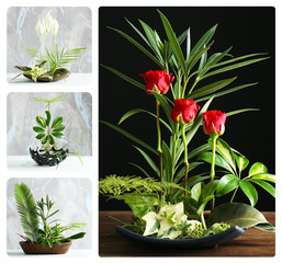 Collage of creative floral compositions
