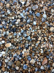 Pebbles On The Beach On The South Soast Of England